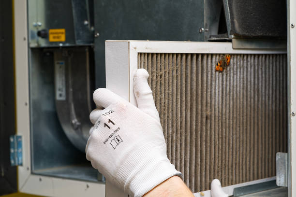 Air Duct Mold Removal in Walnut Park, CA